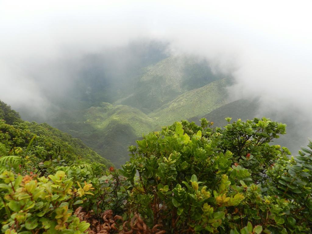 Ka Hale Kealoha Kaunakakai Exterior foto